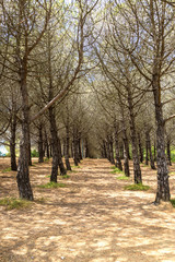 Park in Lloret de Mar