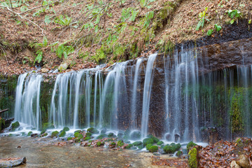 Obraz premium Shiraito Waterfall in autumn season , is located in the forests north of downtown Karuizawa , Japan
