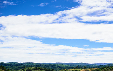 Obraz premium clouds in the blue sky