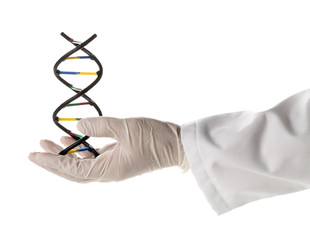 Researcher with glove holding DNA molecule model