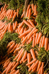 Carrots at Weekly market at Guelmim, Morocco