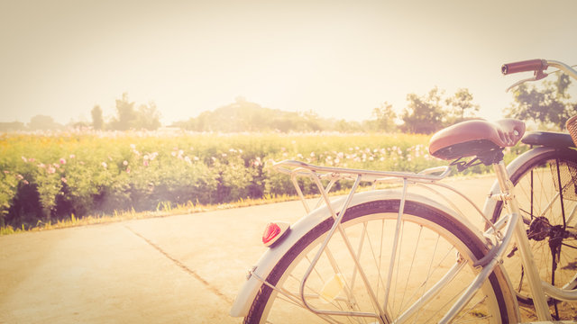 Vintage Bicycle with Summer grass field at sunset