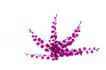 abstract ivy leaves  purple isolated on a white background