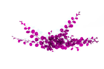 abstract ivy leaves  purple isolated on a white background