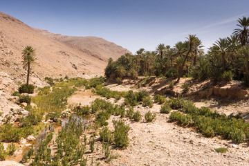 Oasis Tarhjijt / Taghjijt, Morocco