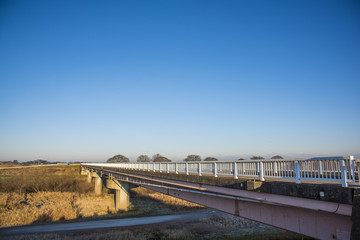Fototapeta na wymiar 江戸川上流の橋