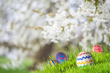 Easter Spring  Background with Eggs