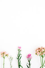Colorful wildflowers on white background. Flat lay, top view. Valentine's background