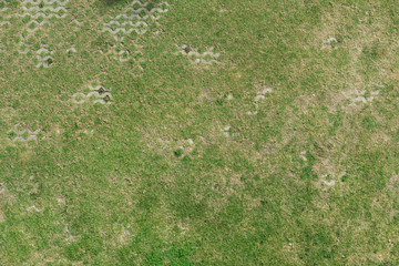 Green grass background texture - Cement pavement and grass