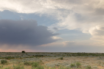 Obraz premium beautiful sky with clouds in the evening