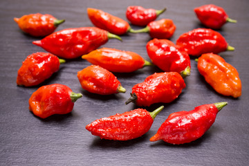 木の板の上のジョロキアの実