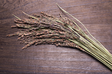 木の板の上の古代米の穂