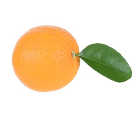 Orange isolated on white