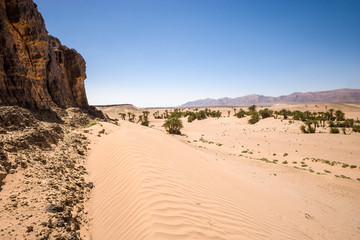 Fototapeta na wymiar Wilderness at the N20 between Tarhjijt and Tata, Morocco