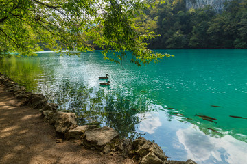 Blue-green crystal clear lakes in Plitvice, Croatia, on a bright sunny day in summer