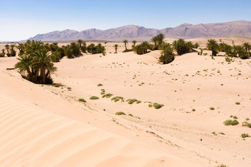 Wilderness at the N20 between Tarhjijt and Tata, Morocco
