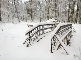 Winter park.