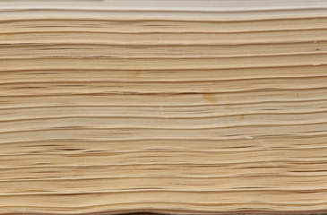 Paper Texture