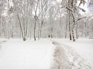Winter park.