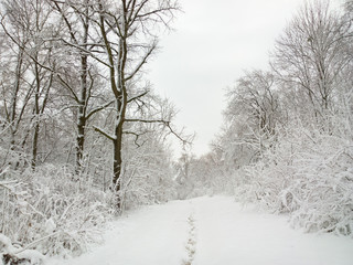 Winter park.