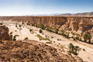 Oasis between Tata and Tissinnt, Morocco