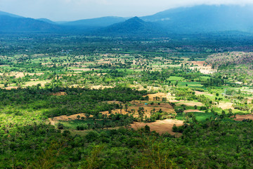 Fototapeta na wymiar Decimated deforestation plain among the mountain