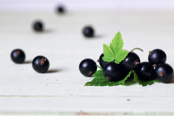 black currant berry background