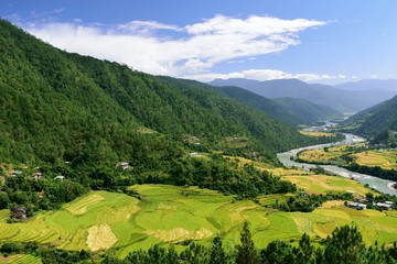 Terraced paddy fields in the Punakha valley with the Mo Chu river flowing alongside