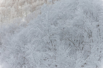 Snowy Mountains landscape ,Japan