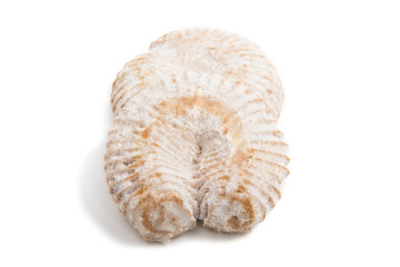 Cookies in powdered sugar