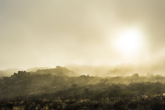 Sea fog rolling in over the Namaqua National Park at sunrise