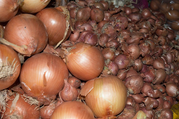 Onions and Shallots