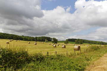 Landschaft in Burgund, Frankreich
