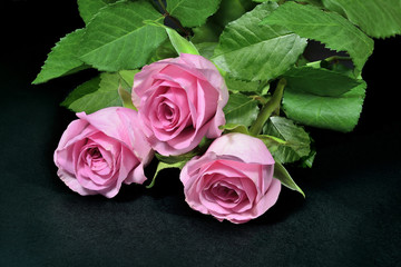Pink roses bouquet on a black background.