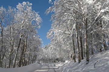 Station de ski du Ballon d'Alsace neige 