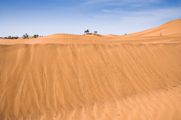 Fototapeta na wymiar Dunes of Mhamid (Sahara), Morocco