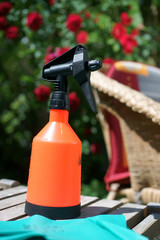 Spraying plants