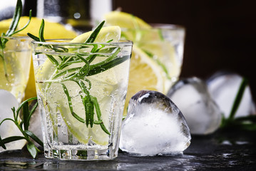 Refreshing lemon drink with rosemary, ice and tonic, black stone