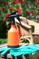 Spraying plants
