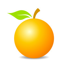 Orange fruit vector icon