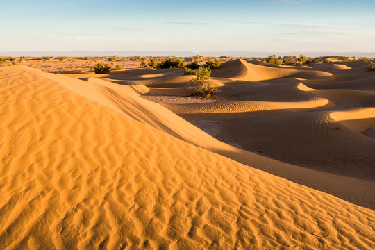 Sunrise at the dunes at Mhamid, Morocco