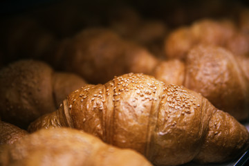 Just baked appetizing croissants
