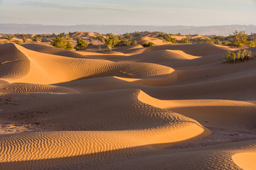 Sunrise at the dunes at Mhamid, Morocco