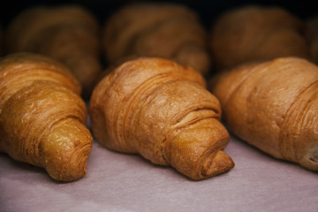Just baked appetizing croissants