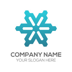 Blue Snowflake Logo