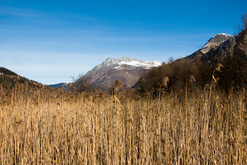 Swampland in front of the mountains