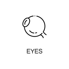 Eyes flat icon