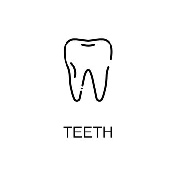Teetch flat icon