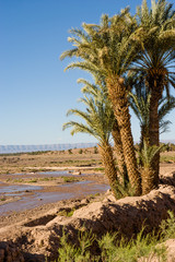 River at Zagora, Morocco