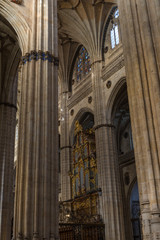 Fototapeta na wymiar Catedral metropolitana deSalamanca en estilo gotico